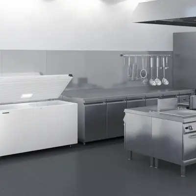 LIEBHERR Truhla mrazicí EFL 4656 nerez dveře (5)