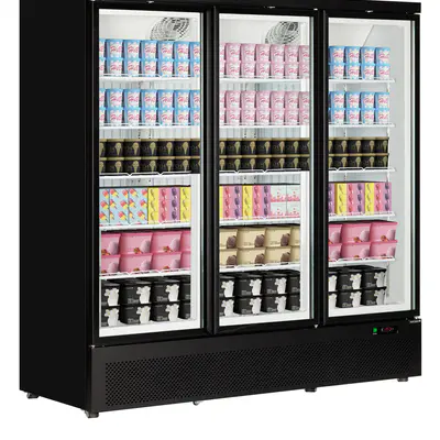 Tefcold Skříň mrazicí prosklené dveře Atom Maxi F3DB (6)