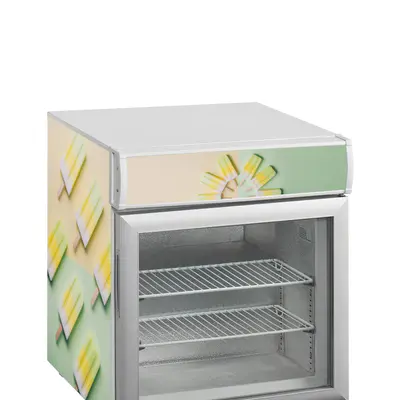 Tefcold Skříň mrazicí prosklené dveře UF 50 GCP (4)
