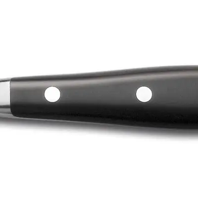 Wüsthof Ocílka 26cm CLASSIC IKON (4)