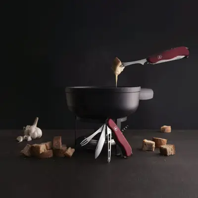 Victorinox Nůž kapesní CHEESE MASTER 111 mm (3)