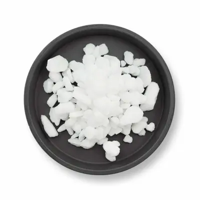 Sůl regenerační 2Kg (2)