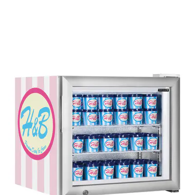 Tefcold Skříň mrazicí prosklené dveře UF 50 G (3)