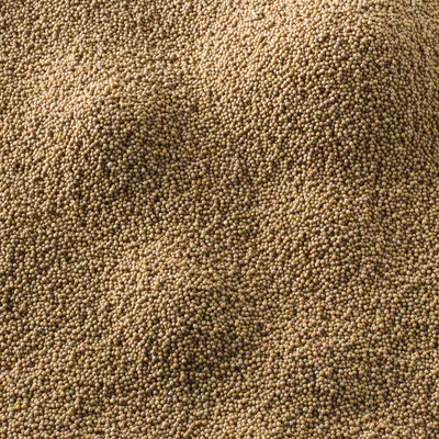 Nature line Hořčičné semínko bílé 1 kg (2)