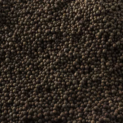 Nature line Nové koření celé 100g dóza (2)
