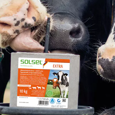 Liz solný SOLSEL Mineral Extra 10 kg (4)