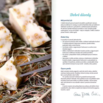 Nakladatelství Jan Vašut Domácí jogurt, tvaroh a sýr Cosima Bellersen Quirini (4)