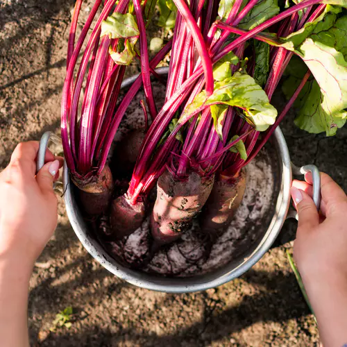 flat-lay-vegetables-pot.jpg