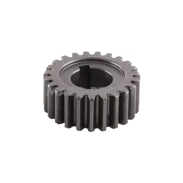 Kolo ozubene SP-200D/121
