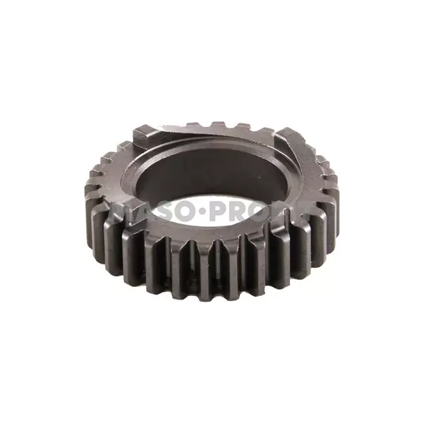 Kolo ozubene SP-22/119