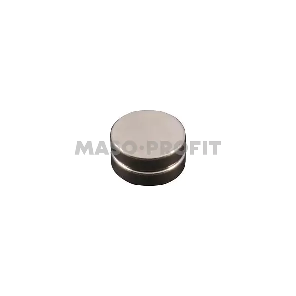 OEM - ALI Magnet krytu AS/8