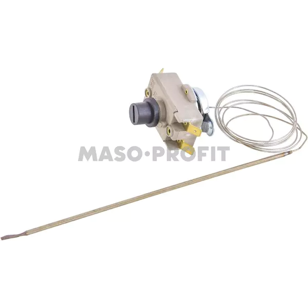 Termostat 4620520