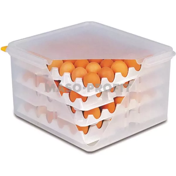 Box na vejce  + 4x plato  82419
