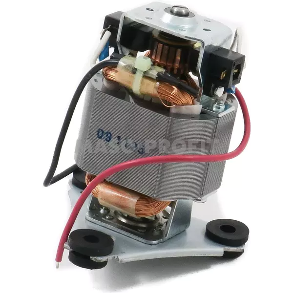 Motor WSG30 029756