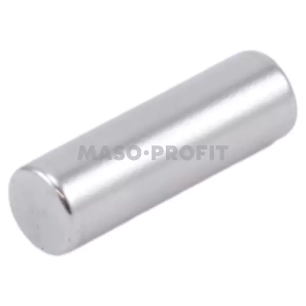 Magnet