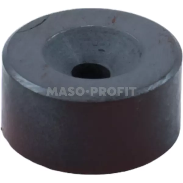 Magnet spinaci 5210