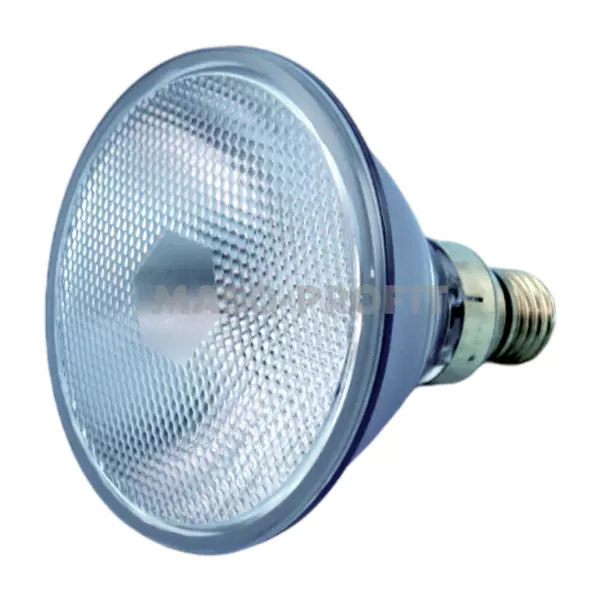 Žárovka halogenová PAR38 230V-240V 80W D40 CLEAR E27 39501