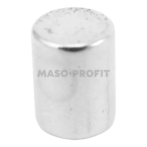 Magnet spinaci 6x8 C/ETV MINERVA