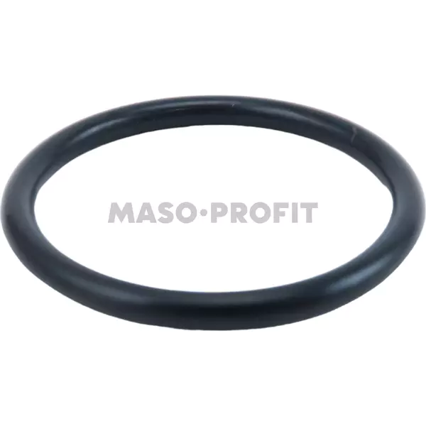 Tesneni SP1 04.BA0030.001 CESK