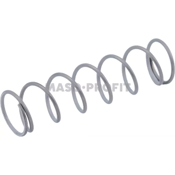 Pruzina SP1 04.BA0021.001 CESK