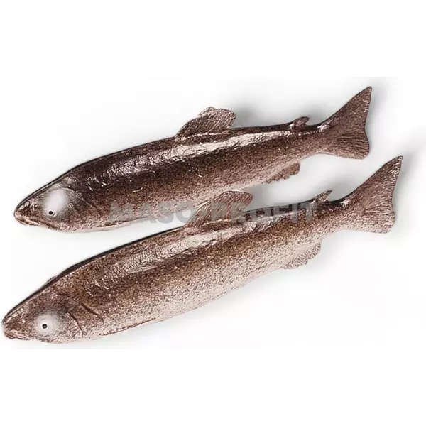 Atrapa pstruh