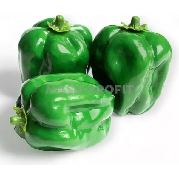 Atrapa paprika zelená