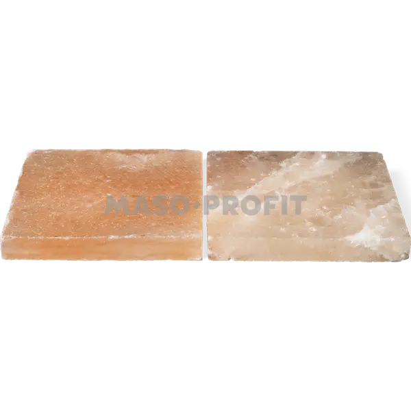 Dry Ager Sada solných bloků Saltair (2ks/sáda) pro DX 500 Premium S