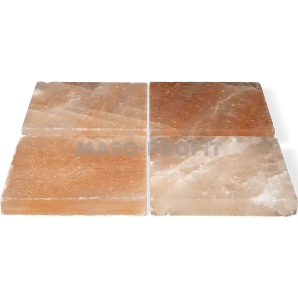 Dry Ager Sada solných bloků Saltair (4ks/sáda) pro DX 1000 Premium S