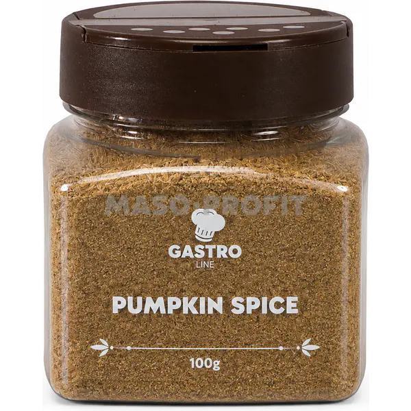 Gastro line Pumpkin spice 100 g dóza